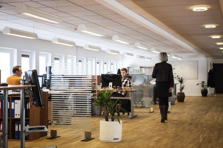 Como decorar sua empresa gastando pouco
