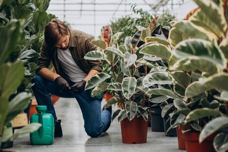 3 Motivos para ter um jardim vertical