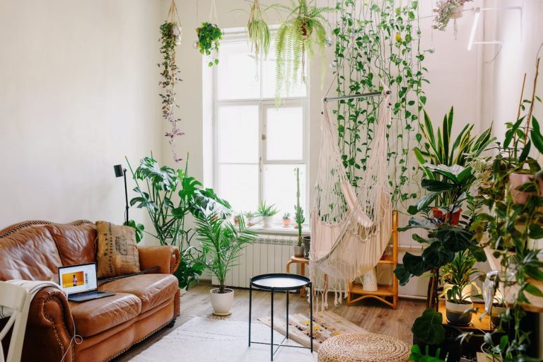 3 Plantas para colocar no quarto que ajudam a dormir melhor