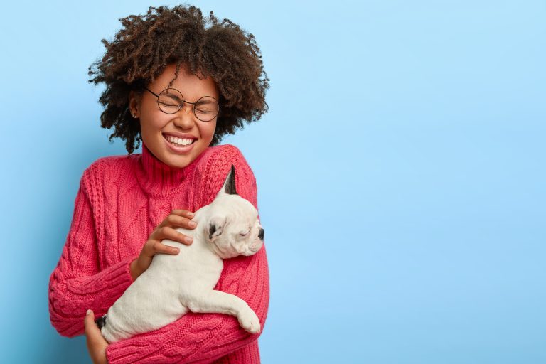 Pets: Cuidados e precauções que você deve seguir
