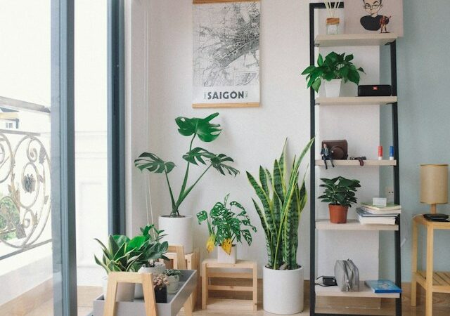 Como redecorar um apartamento alugado?