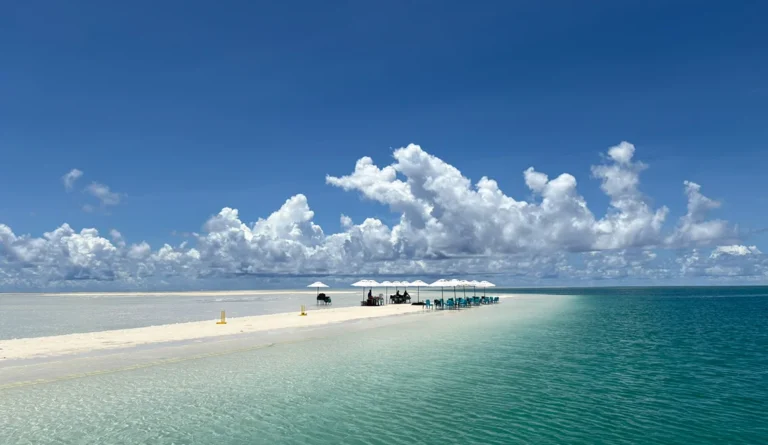 Alphonse Island: Descubra o Paraíso Sustentável nas Seychelles que Conecta Você à Natureza e ao Bem-Estar
