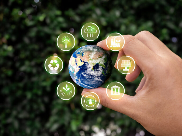 Cursos del Área de Sustentabilidad