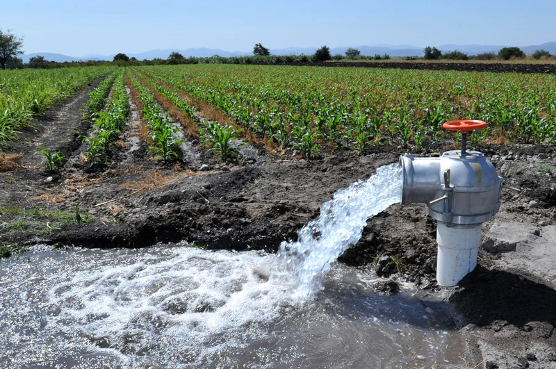 Curso de Cosecha y cultivo de agua