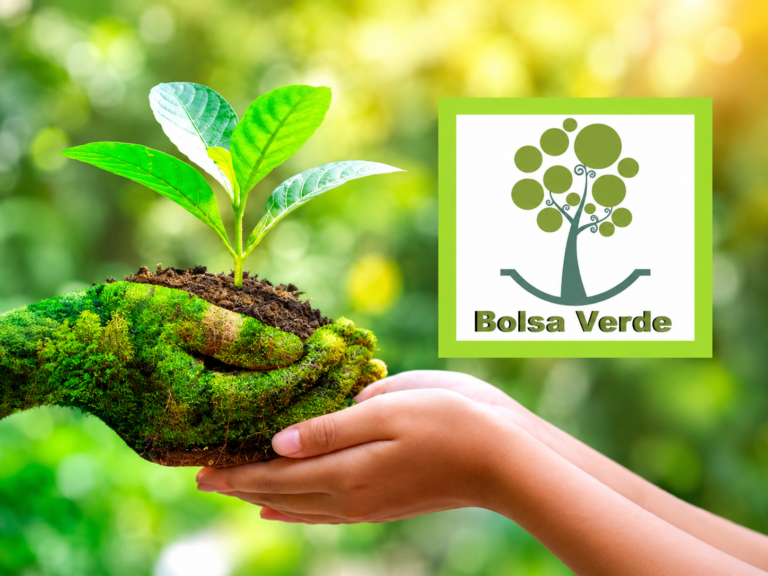 Bolsa Verde
